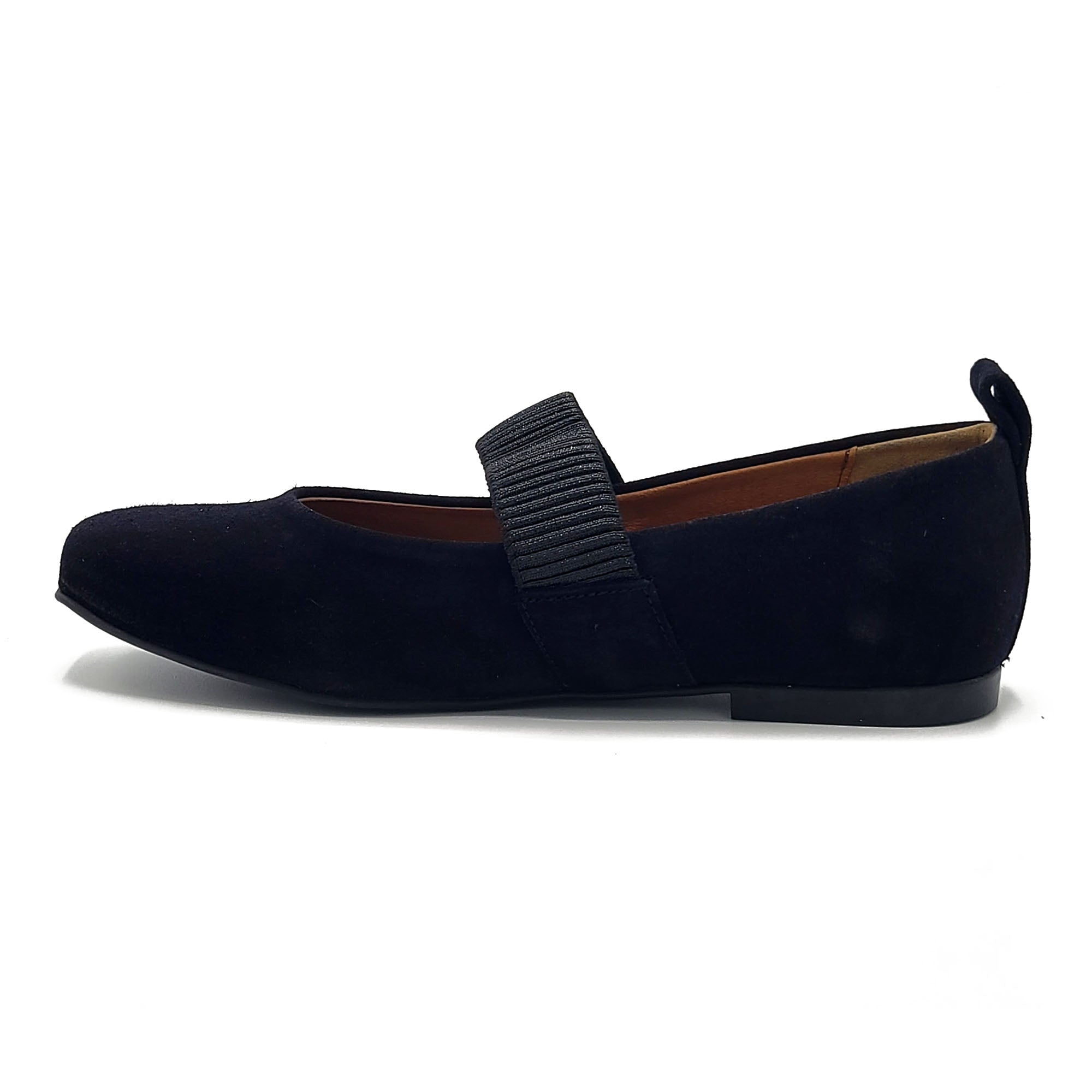 Sole Terra Alba