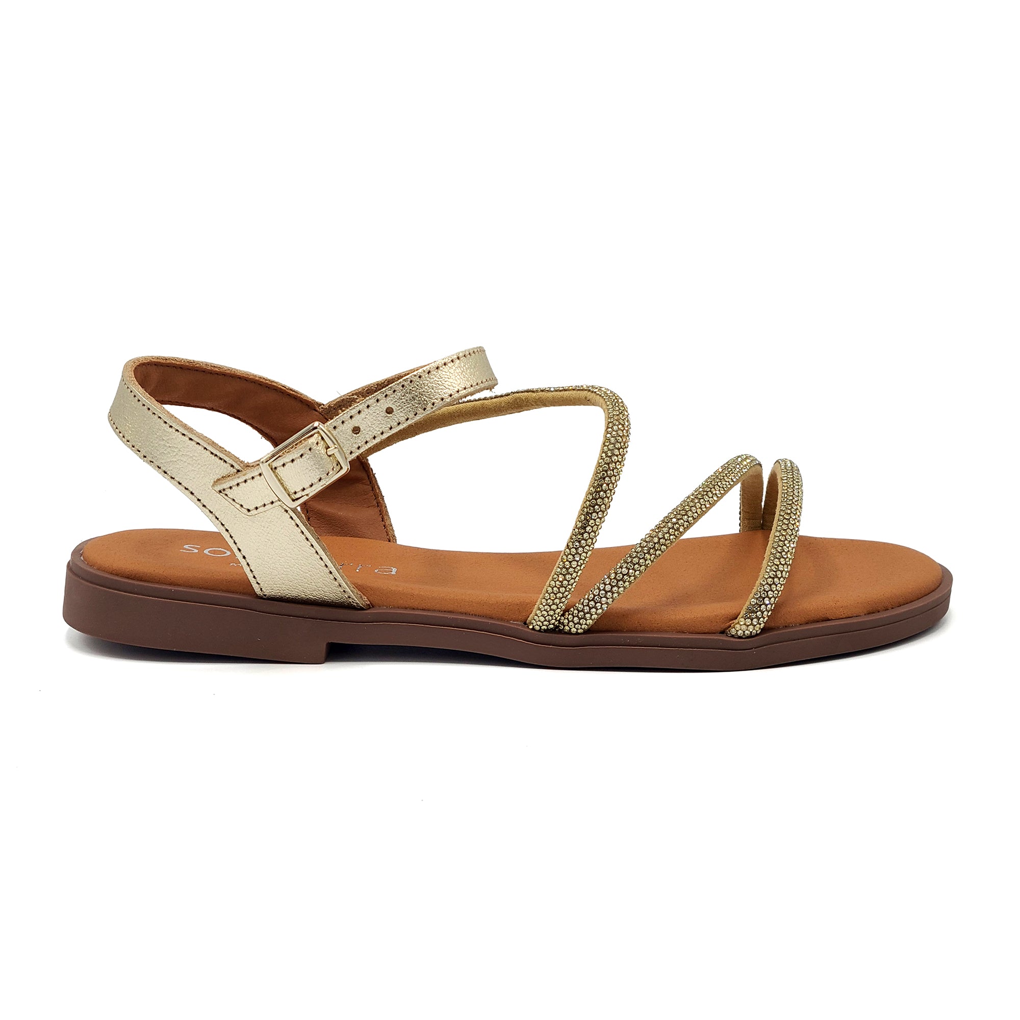 Sole Terra Aurora