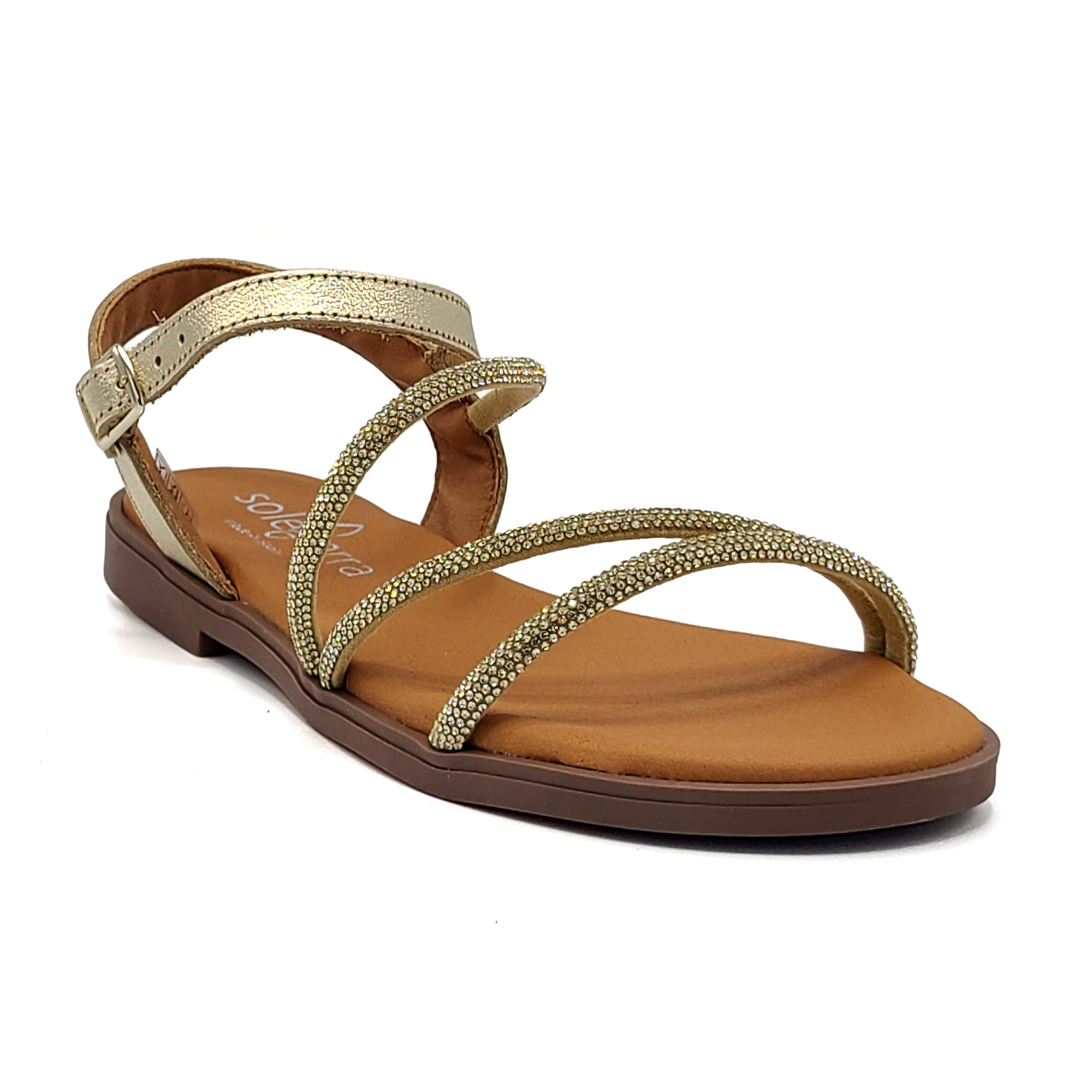 Sole Terra Aurora