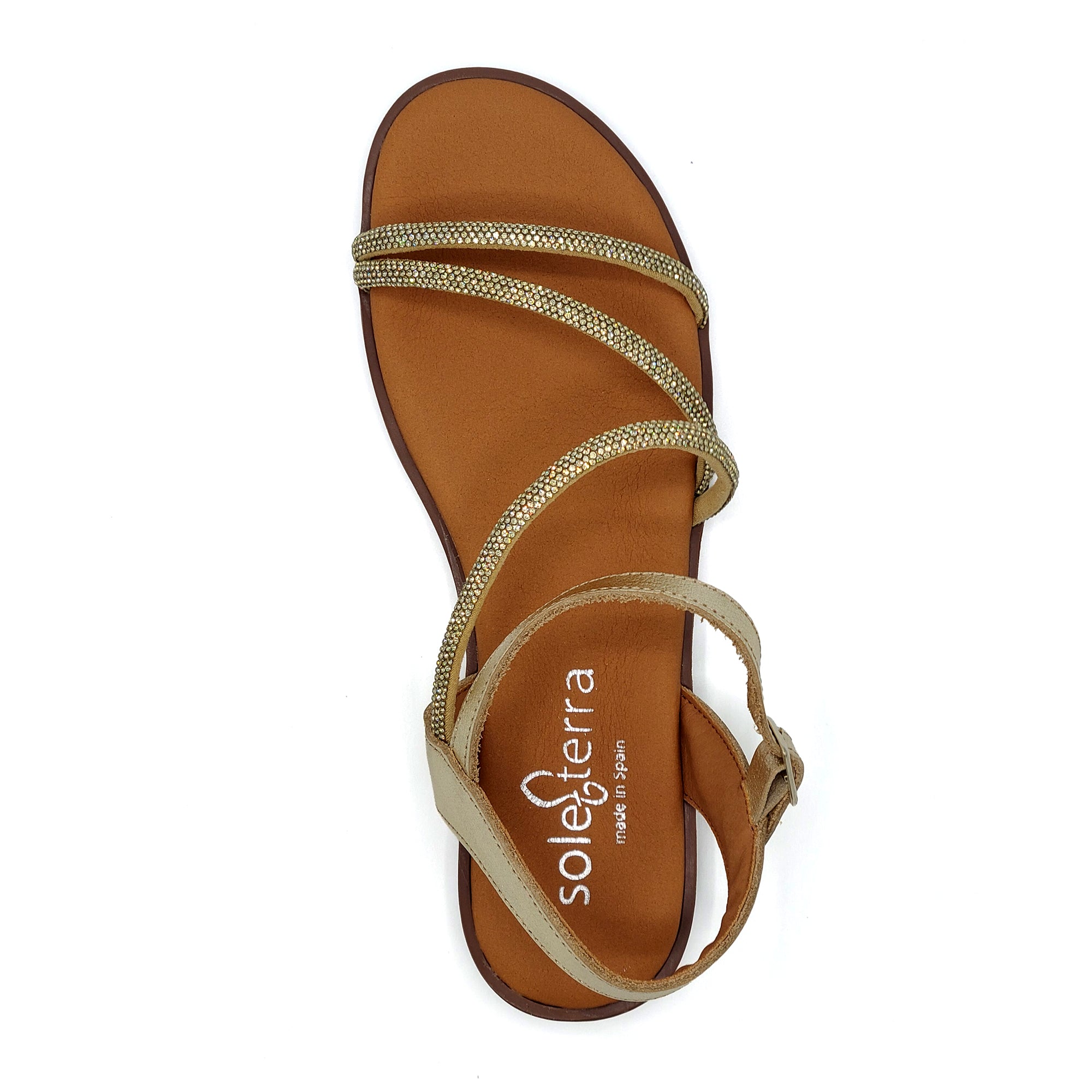 Sole Terra Aurora