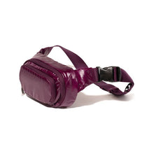 Load image into Gallery viewer, Baggallini On The Go Belt Bag Waist Pack