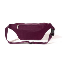 Load image into Gallery viewer, Baggallini Modern Everywhere Belt Bag