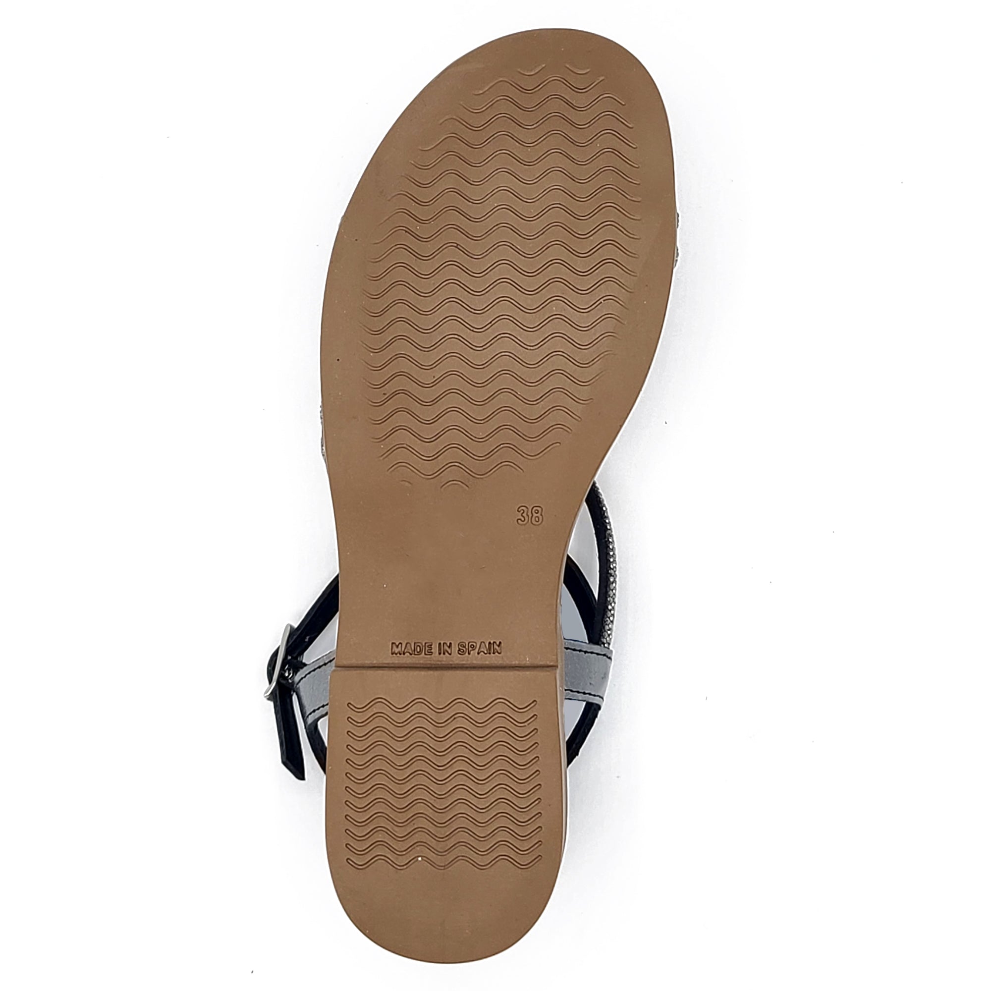 Sole Terra Aurora